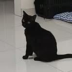 Profile Picture of Sachiel Xue Chao (@sachiel.xue.chao) on Facebook