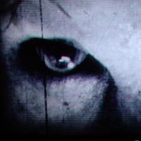 Profile Picture of Steve Tolley (@stevetolley71) on Pinterest