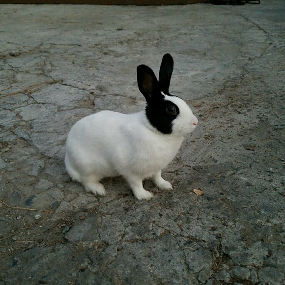 Profile Picture of Itzel Solis (@itzel_s731) on Poshmark