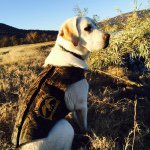 Profile Picture of Damien  Scott Holmes (@damien_holmes01) on Instagram