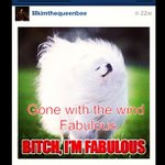 Profile Picture of Wilbur Brock (@sympakar) on Instagram