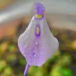 Profile Picture of William Wey (@wey.william) on Instagram