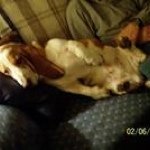 Profile Picture of Dawn Barber (@barber2014) on Instagram