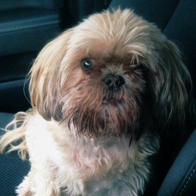 Profile Picture of Jagger David (@JaggerDavid82) on Twitter