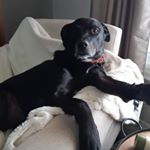 Profile Picture of Sherri (@vanderhagan) on Instagram