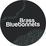 Profile Picture of Lauren + Chris (@brassbluebonnets) on Instagram