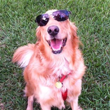 Profile Picture of Paula Harrelson (@PaulaJo669) on Twitter