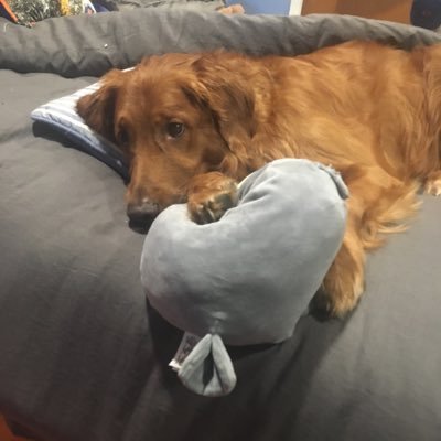 Profile Picture of AJ Hayes (@AJHayes20) on Twitter