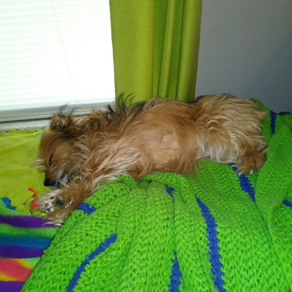 Chrystal Hall - Poshmark Profile Picture of Chrystal Hall (@chall687) on Poshmark