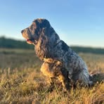 Profile Picture of Henri van Leeuwen (@h.j.van.leeuwen) on Facebook