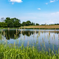 Profile Picture of Kenneth Little Quiet Pond (@kenneth-little-quiet-pond) on Quora