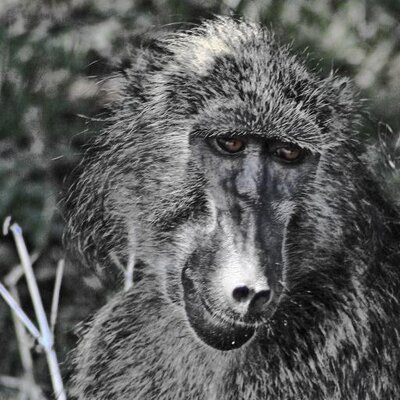 Profile Picture of Earl Page (@earlpage) on Twitter