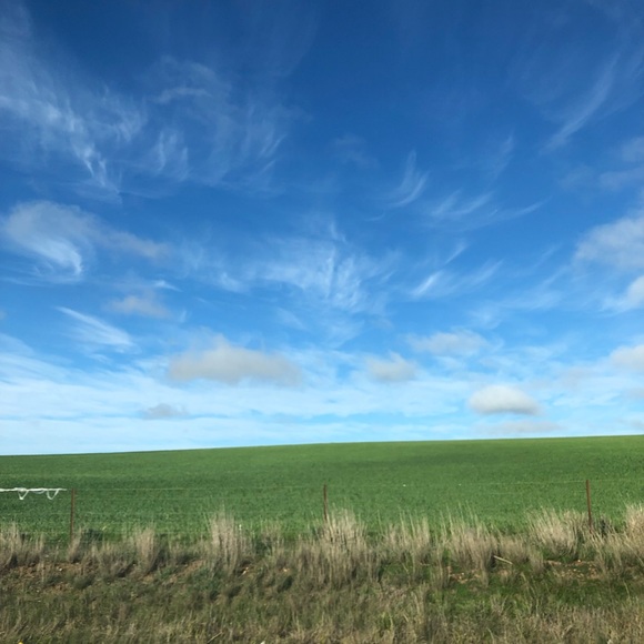 Profile Picture of Maria Shah (@mrsshah83) on Poshmark