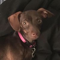 Profile Picture of Lora Johnson (@lora-johnson-11) on Quora