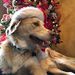 Profile Picture of Grant Higgins (@ghiggins22) on Pinterest