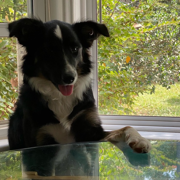 Jaymie Boyum - Poshmark Profile Picture of Jaymie Boyum (@xroirats) on Poshmark