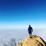 Profile Picture of Michael Tognotti (@togo_805) on Instagram