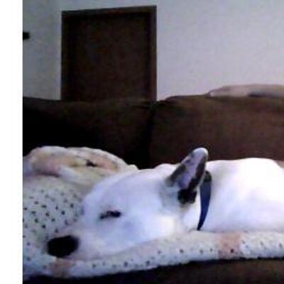 Jim Wehr - Twitter Profile Picture of Jim Wehr (@freedomwants) on Twitter