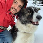 Profile Picture of Matteo Marsili (@matteo_marsili) on Instagram