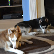 Shanice Parker - Youtube Profile Picture of Shanice Parker (@shaniceparker2035) on Youtube