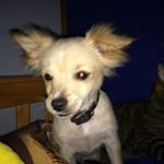 Profile Picture of nathan samuels (@spidercatgameing) on Instagram