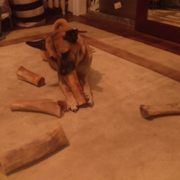 Profile Picture of Alec James (@toocoolparents) on Poshmark