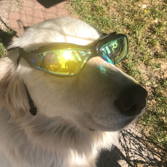 Profile Picture of Rosio Gutierrez (@rosiogtz) on Poshmark