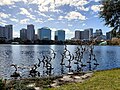 Profile Picture of Downtown Orlandoon Wikipedia