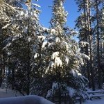 Profile Picture of Kristine Wilkinson (@kcbwilkinson) on Instagram