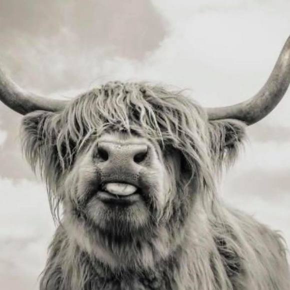 Profile Picture of Krista Gorham-donahue (@kristagorham645) on Poshmark