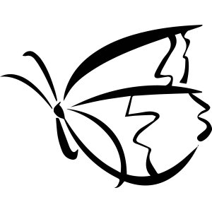 Profile Picture of Peter Berx (@Entomobiel) on Twitter