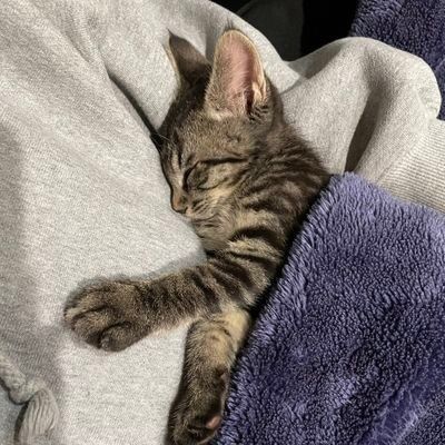 Profile Picture of Lisa.Mcneil (@wrowegbdt41) on Tiktok