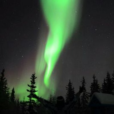 Profile Picture of Philip Wu (@ynltour) on Twitter