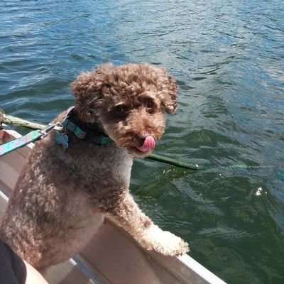 Profile Picture of Ralph Venturini (@RalphRamseyOEM) on Twitter