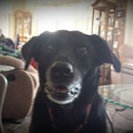 Profile Picture of Maxine Lappin (@maxinelappin) on Instagram