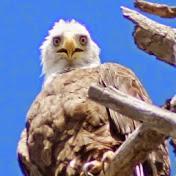 Profile Picture of Steve Franklin (@FireCop962) on Youtube