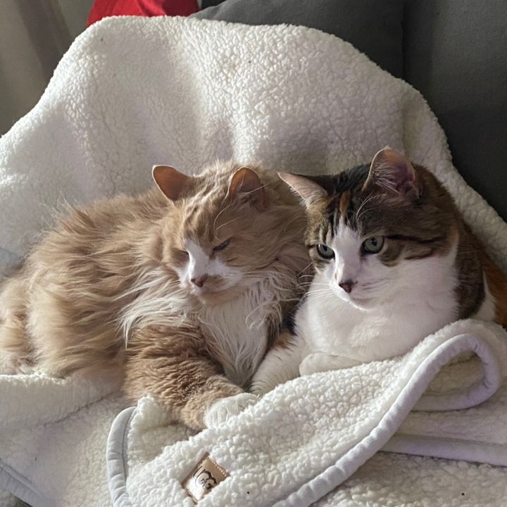 Profile Picture of ErinJae (@erinjae2e) on Tiktok