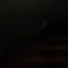 Profile Picture of Markell Clardy (@@markellclardy) on Tiktok