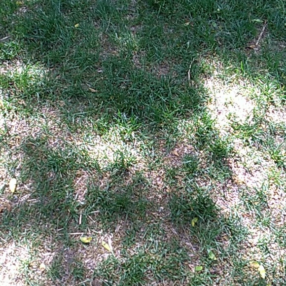 Profile Picture of Nancy Mckinster (@nancymckinster) on Poshmark