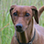 Profile Picture of ritaliis (@ritaliis) on Flickr
