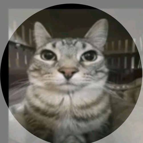 Profile Picture of EDWARD (@edward_fan_demudryk) on Tiktok