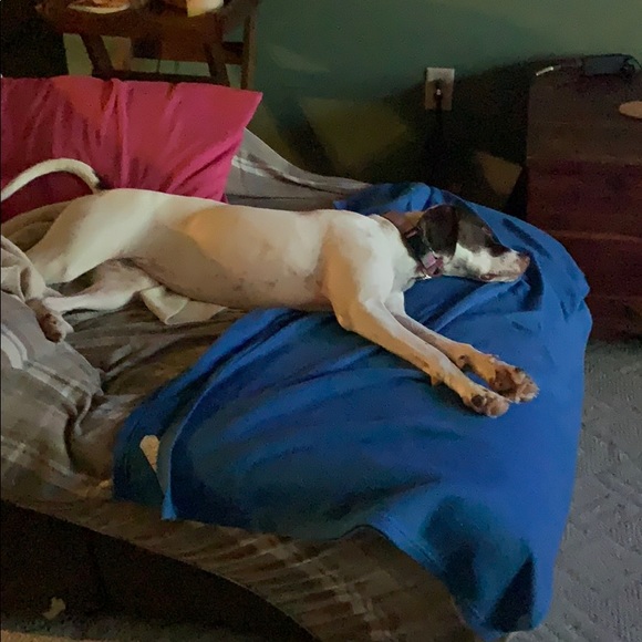 Profile Picture of Christine Hickernell (@sarsamluna) on Poshmark