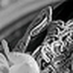 Profile Picture of Zoe Wong (@zoewong1981@yahoo.com.hk) on Flickr