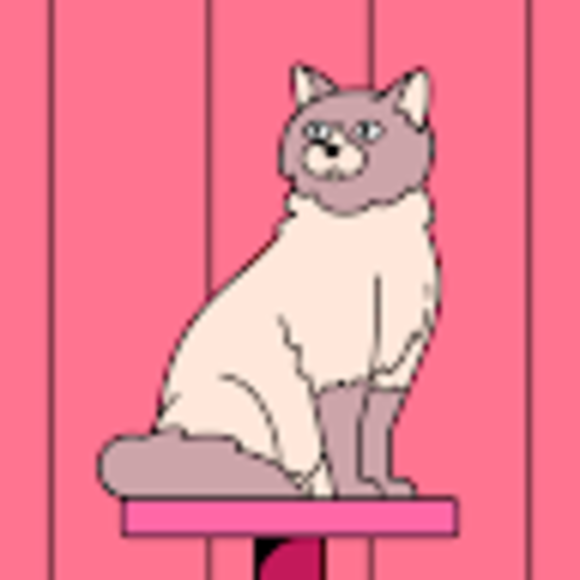 Profile Picture of Kim Winn (@kimwinn16) on Poshmark