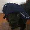 Profile Picture of Matthew Visser (@matthewvisser) on Tiktok