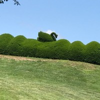 Profile Picture of Danyell Thomas (@danyell-thomas-1) on Quora