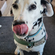 Profile Picture of David Collise (@Diggerdave9840) on Youtube