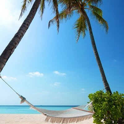 Profile Picture of Kara Knable (@KaraJKnable) on Twitter