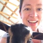 Profile Picture of Tabitha Ingle (@ting1e13) on Instagram