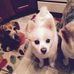 Profile Picture of Laurie Pruitt (@laurie.pruitt.581) on Facebook